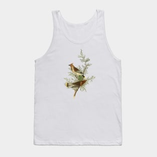 Waxwing Bird Vintage Wildlife Illustration Tank Top